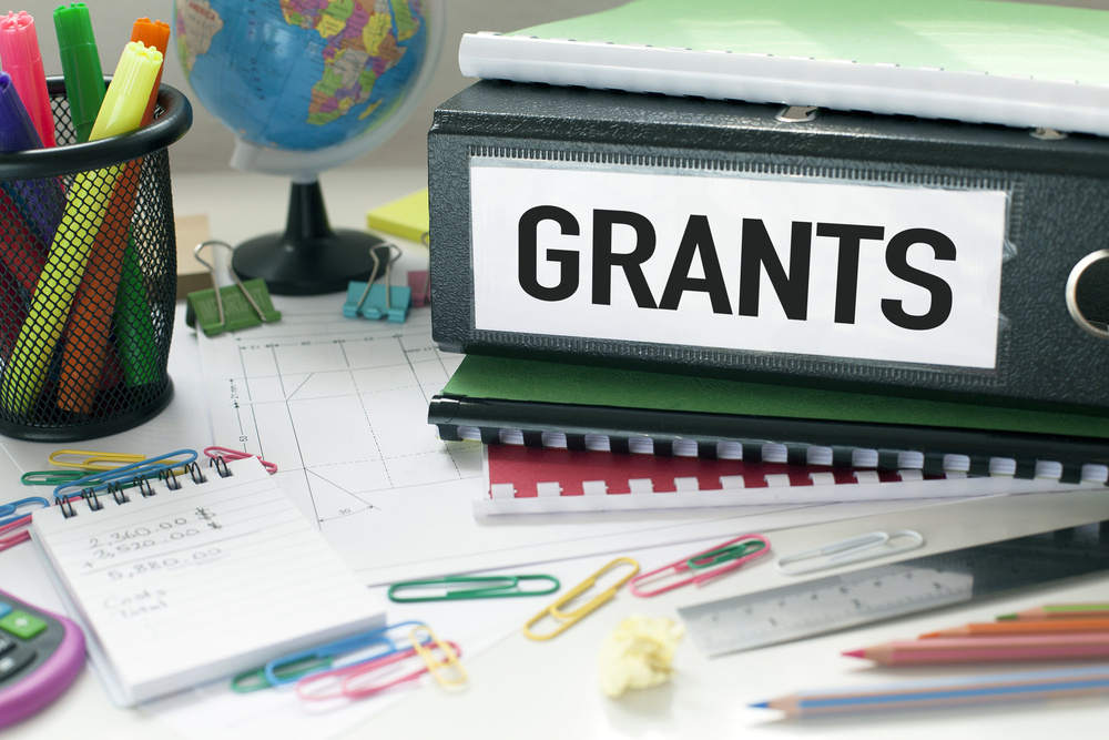 Grants help new activity For Accountants